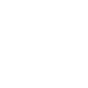 the red lion, mortimer - logo